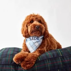 Plaid Dog Bandana | 2 -Grocery Store plaid dog bandana 2 c 1
