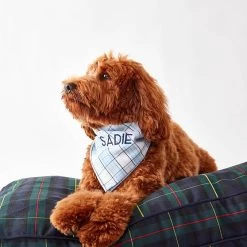 Plaid Dog Bandana | 2 -Grocery Store plaid dog bandana c 2