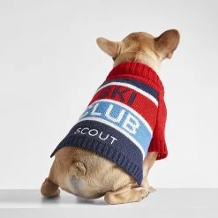 Ski Club Dog Sweater | 4 -Grocery Store ski club dog sweater c 1