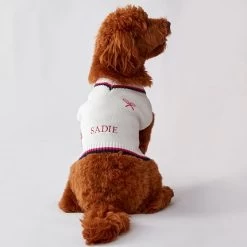 Sporty Dog Sweater Vest | 10 -Grocery Store sporty dog sweater vest c 1
